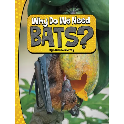 Why Do We Need Bats?
