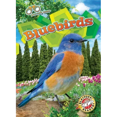 Bluebirds