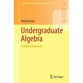 Undergraduate Algebra: A Unified Approach