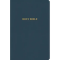 KJV Large Print Thinline Bible, Value Edition, Slate Leathertouch: Holy Bible