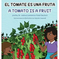 El tomate es una fruta A Tomato is a Fruit