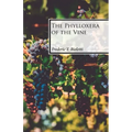 The Phylloxera of the Vine