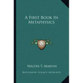 A First Book in Metaphysics