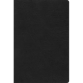 Rvr 1960 Biblia de Estudio Arcoiris, Negro Símil Piel Con Índice