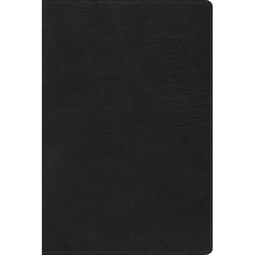Rvr 1960 Biblia de Estudio Arcoiris, Negro Símil Piel Con Índice