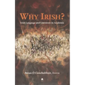 Why Irish?: Irish Language and Literature in Academia