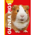 Curious about Guinea Pigs