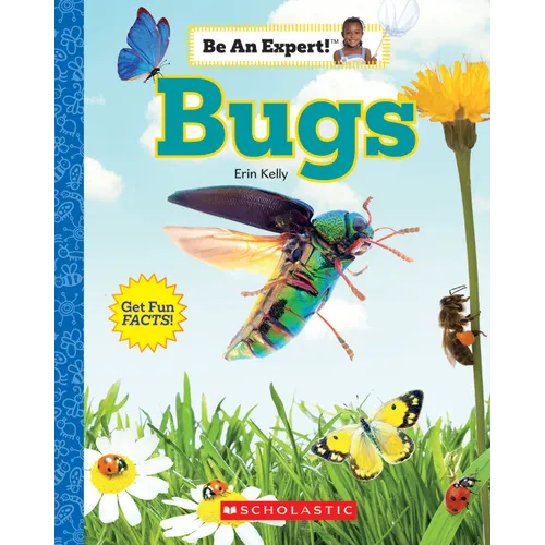 Bugs (Be an Expert!)