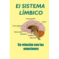 El Sistema Límbico: Su relación con las emociones