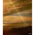 John Chiara: California