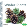 Winter Plants
