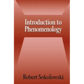 Introduction to Phenomenology