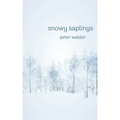 Snowy Saplings