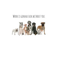 Work is gonna suck without you.: Perfect goodbye gift for coworker that is leaving / going away gift for your co worker, boss, manager, employee.
