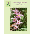 Growing Orchids - A Picture Guide: How We Grow Orchids In Our Hawaii Garden