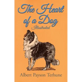 The Heart of a Dog - Illustrated