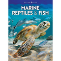 Marine Reptiles & Fish