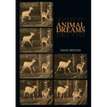 Animal Dreams
