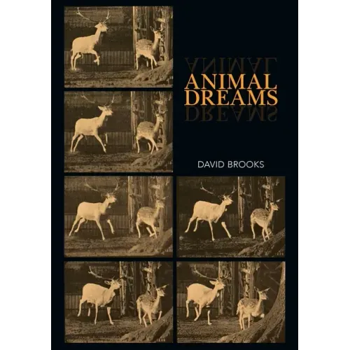 Animal Dreams