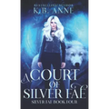 A Court of Silver Fae: Silver Fae Book Four