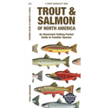 Trout & Salmon of North America: An Illustrated Folding Pocket Guide to Familiar Species