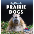Prairie Dogs