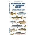 Newfoundland & Labrador Fishes