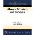 Alveolar Structure and Function