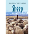 Exploring the World of Sheep: Educational Animals Book For Kids