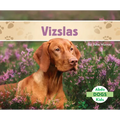 Vizslas