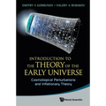 Intro Theory Early Universe: Cosmo Pertur