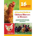 A Practical Guide to Chicken Illnesses & Diseases