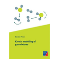 Kinetic modelling of gas mixtures
