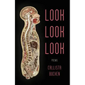 Look Look Look