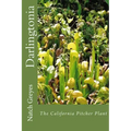 Darlingtonia