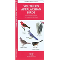 Vermont Birds: An Introduction to Familiar Species