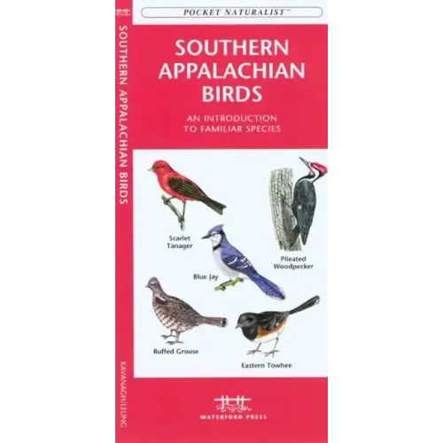 Vermont Birds: An Introduction to Familiar Species