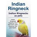 Indian Ringneck. Indian Ringnecks as pets. Indian Ringneck Keeping, Pros and Cons, Care, Housing, Diet and Health.