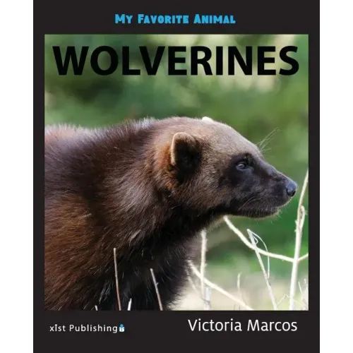 My Favorite Animal: Wolverines