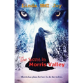 The Secret in Morris Valley