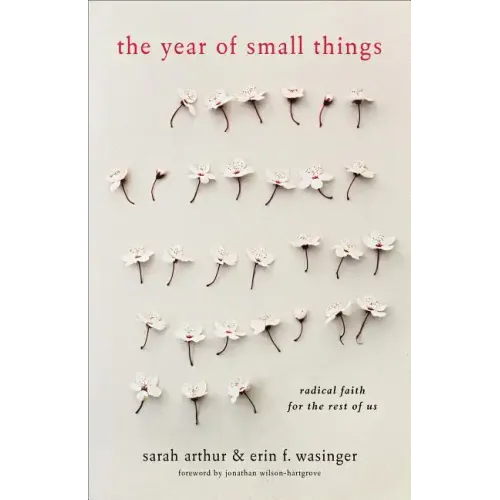 The Year of Small Things: Radical Faith for the Rest of Us