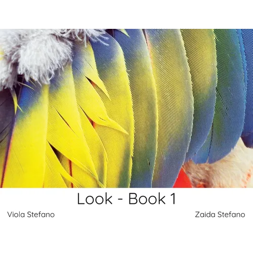 Look - Book 1