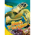 Sea Turtles