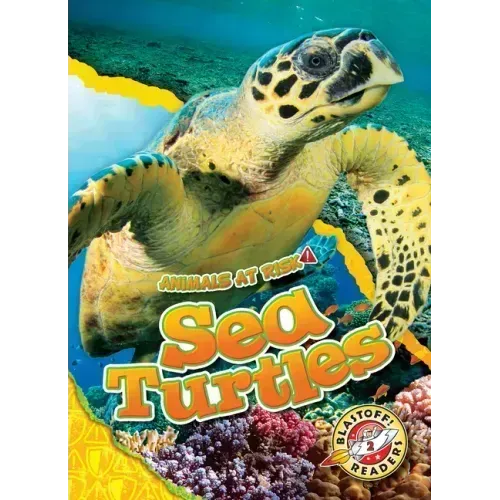 Sea Turtles