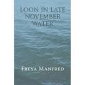 Loon In Late November Water