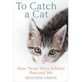 To Catch a Cat: How Three Stray Kittens Rescued Me