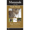 Mammals of the North Woods