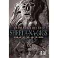 Sheela-na-gigs: Unravelling an Enigma