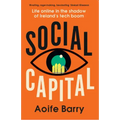 Social Capital: Life Online in the Shadow of Ireland's Tech Boom