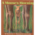 A Moose's Morning